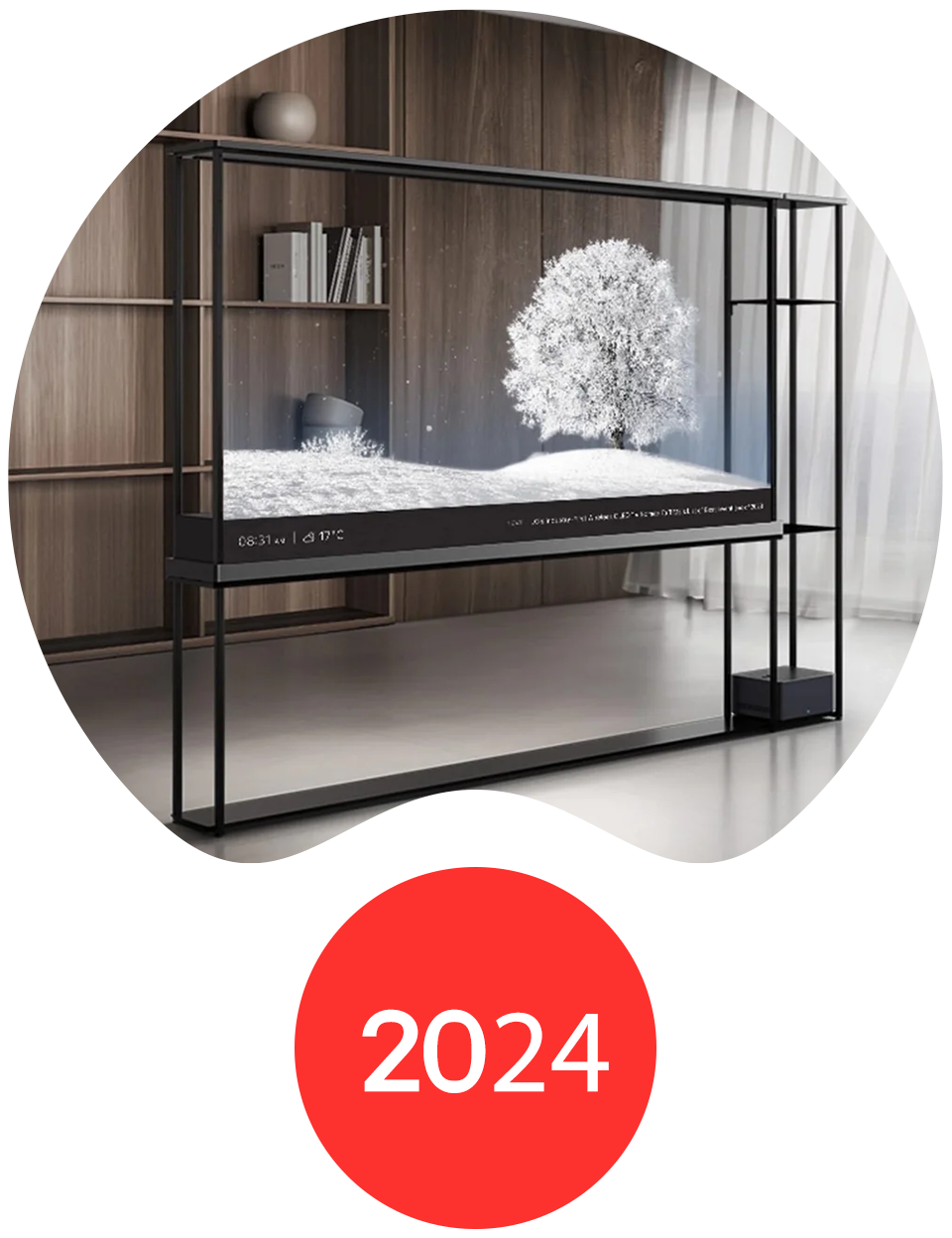 LG Transparent OLED T display, launched in 2024, offering see-through visuals.