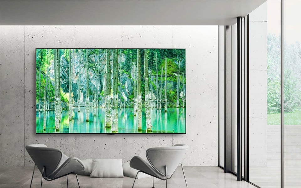 Un téléviseur LG QNED MiniLED affiche des couleurs vives sous un éclairage naturel.