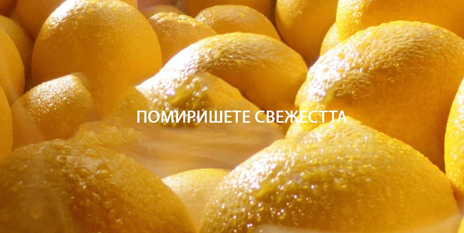 Global_LinearVPlus_2018_Feature_02_3_LinearCooling_14-02-2019_D