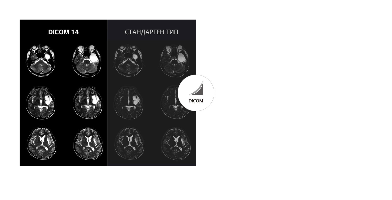 Стабилни изображения в гамата на сивото1