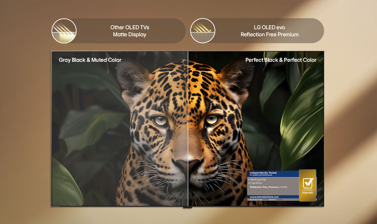 Телевизор LG OLED evo с технология Reflection Free Premium на разделен екран с матов дисплей с антирефлекторно покритие.