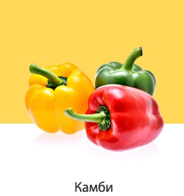 REF-NatureFRESH-Vplus-03-UsefulTips-04-10-Bell-Peppers