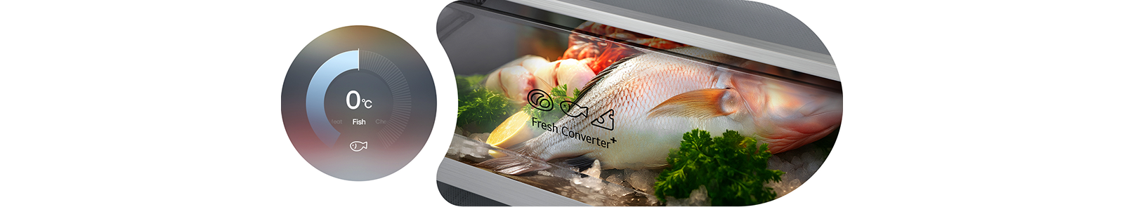 Графика на LG с фризер отдолу с кръгова диаграма, показваща 0 °C вляво и прясна риба, съхранявана в кутия Fresh Converter вдясно