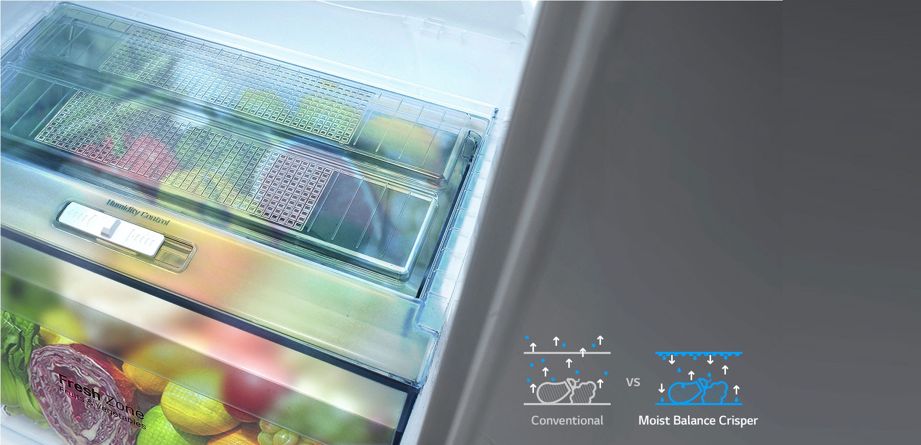 Moist Balance Crisper1