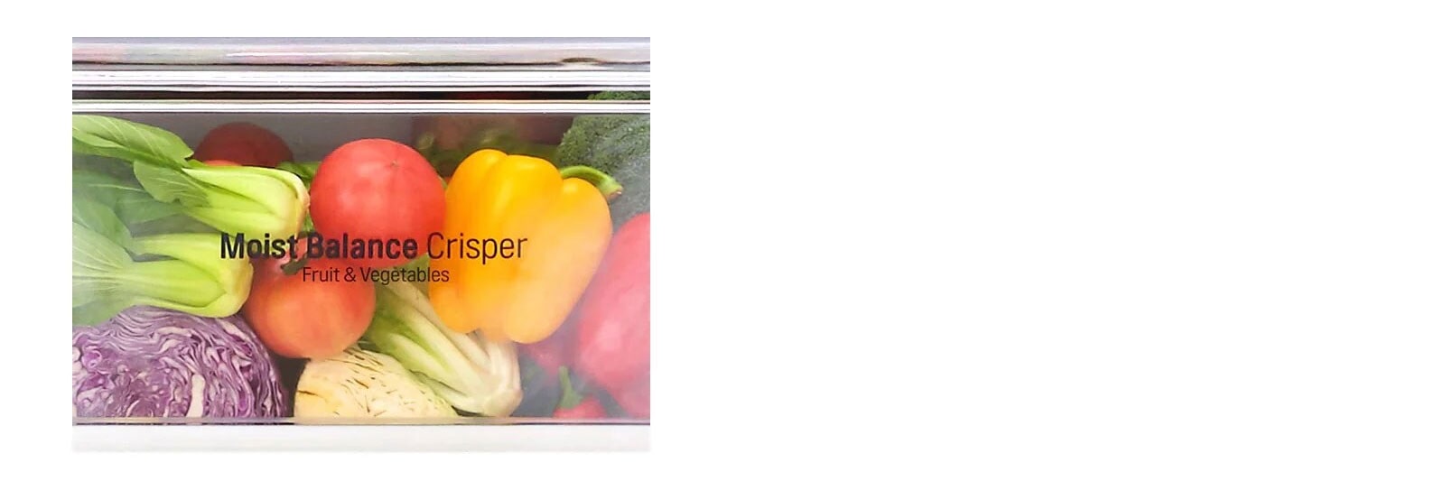 Moist Balance Crisper™