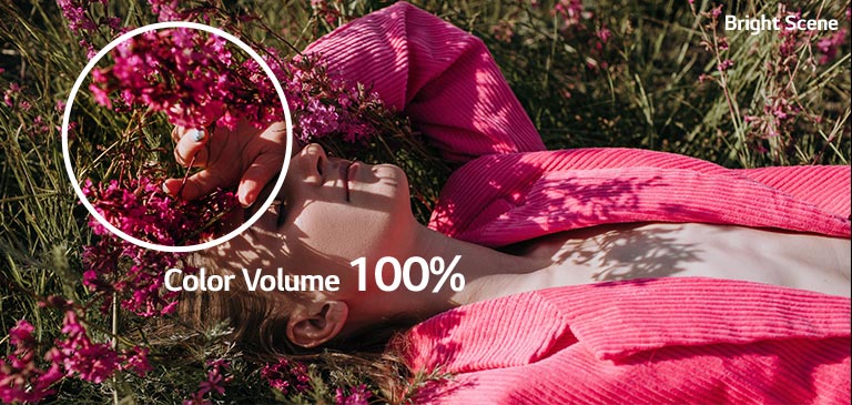 В ярка сцена момиче лежи на тревата и целият цвят става по-ясен и по-жив, тъй като обемът на цветовете се увеличава от 70% на 100%. В тъмна сцена момиче държи пъстър чадър и целият цвят става по-ясен и по-жив, тъй като обемът на цветовете се увеличава от 70% на 100%.