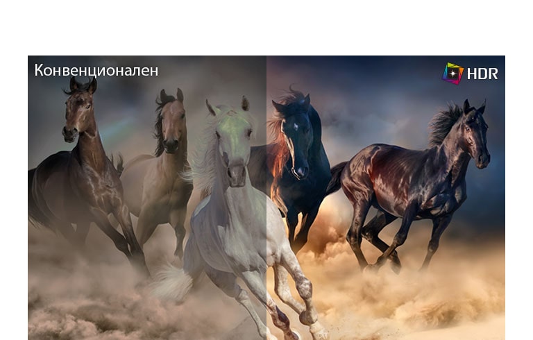 Достоверност с оригинала2