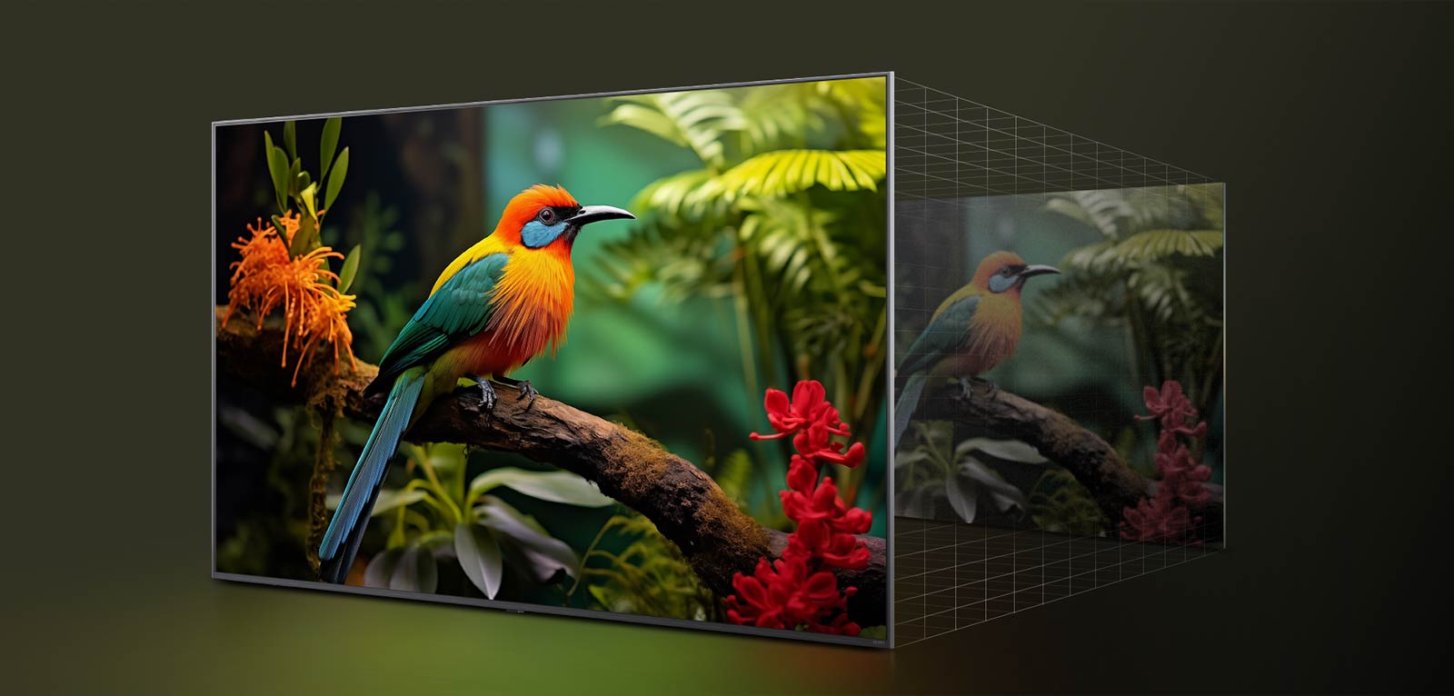 Primerjava pred in po tem, kako LG 4K Super Upscaling izboljša kakovost slike. Dve plošči, ki prikazujeta isto podobo barvite ptice, ki sedi na veji v gozdu, plošča na desni je zbledela.