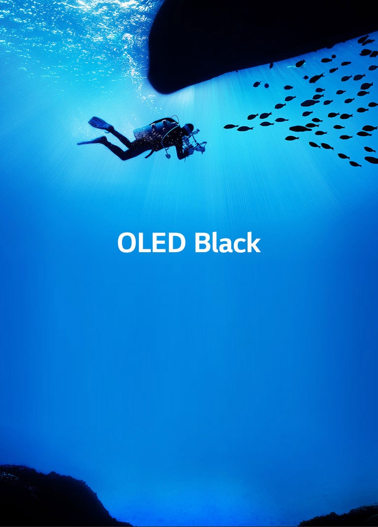 Вдъхва живот на образите2