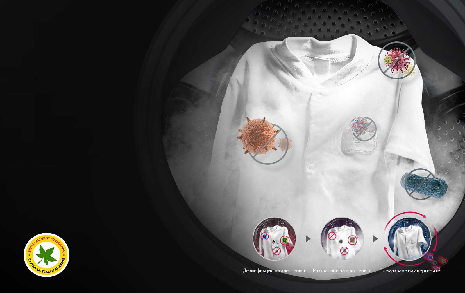 Победете алергените със силата на парата1