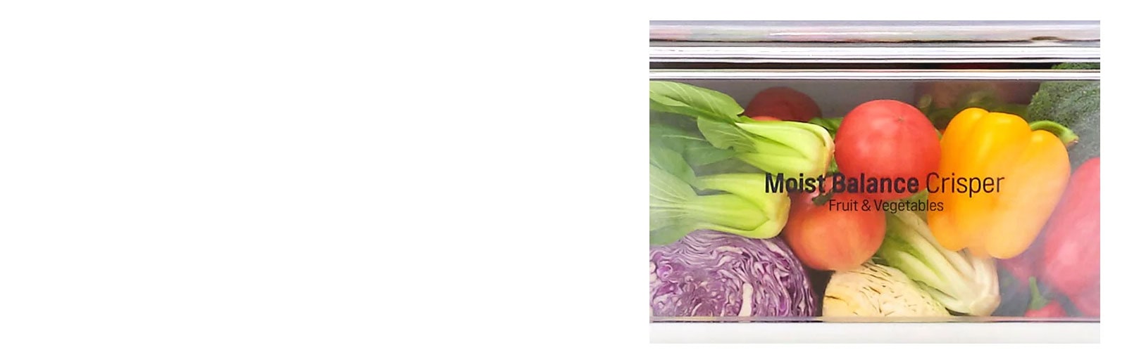 Moist Balance Crisper™