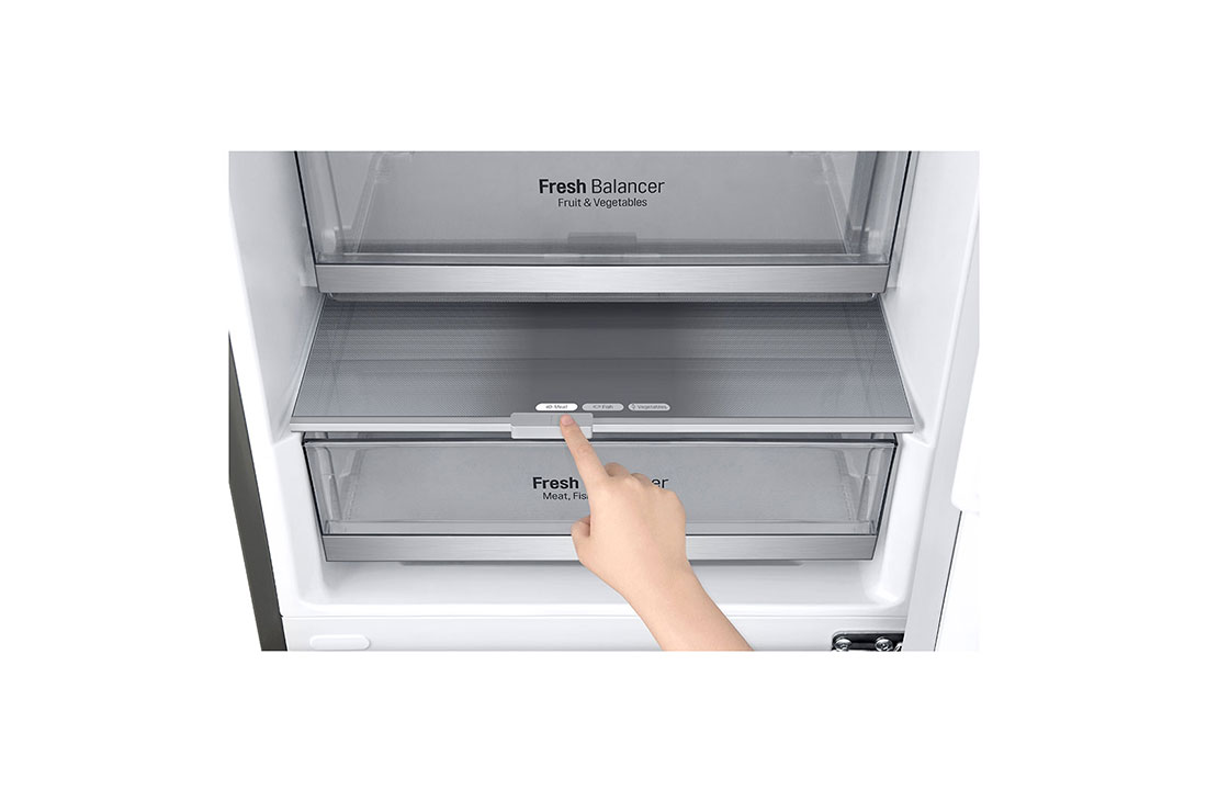 LG Хладилници c долна камера с DoorCooling+™ технология, 341 L Капацитет, GBB71PZDZN, thumbnail 10