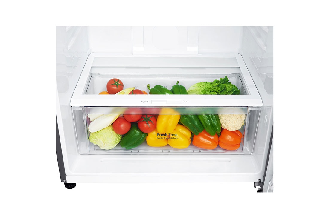 LG Хладилник С Горно Замразяване с DoorCooling+™ технология, 509 L Капацитет, GTF744PZPZD, thumbnail 3