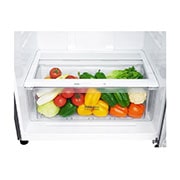 LG Хладилник С Горно Замразяване с DoorCooling+™ технология, 509 L Капацитет, GTF744PZPZD, thumbnail 3