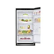 LG Хладилник c долна камера, DoorCooling⁺™ технология, 341L капацитет, GBB61BLJMN, GBB61BLJMN, thumbnail 8