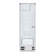 LG Хладилник с една врата, DoorCooling⁺™ технология, 386L капацитет, GFT41PZGSZ, GLT51PZGSZ, thumbnail 15