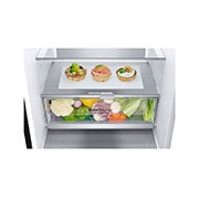 LG Хладилник c долна камера, DoorCooling⁺™ технология, 384L капацитет, GBB72SWVGN, GBB72MCVGN, thumbnail 7
