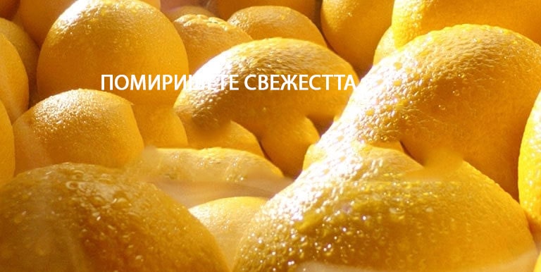 ПОМИРИШЕТЕ СВЕЖЕСТТА