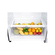 LG Хладилник c горна камера, 509L капацитет, GTB744DSCV, GTB744DSCV, thumbnail 9