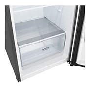 LG Хладилник c горна камера, DoorCooling<sup>+</sup>™ технология, 266L капацитет, Чекмедже без храна, GTBV20PYGKD, thumbnail 5