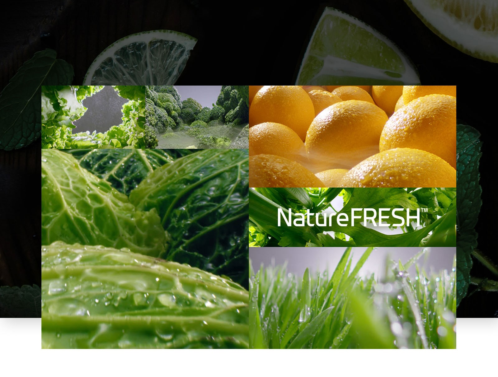 Осигурете наслада за сетивата си3