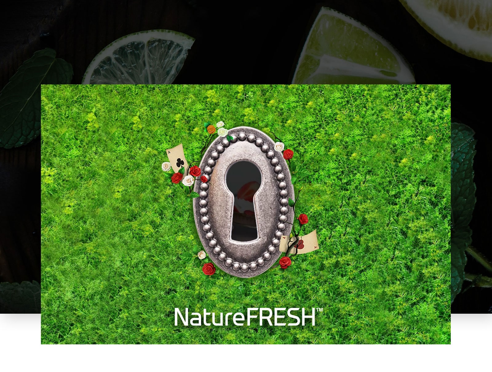 Осигурете наслада за сетивата си3