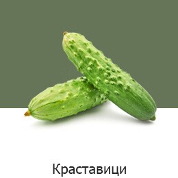 NatureFRESH-Vplus-03-UsefulTips-04-5-Cucumbers