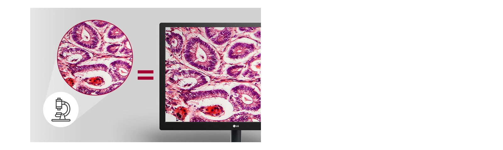 режим „Патология“ предлага резултати от образната диагностика със същата детайлност и прецизност на цветовете, които се виждат под микроскоп