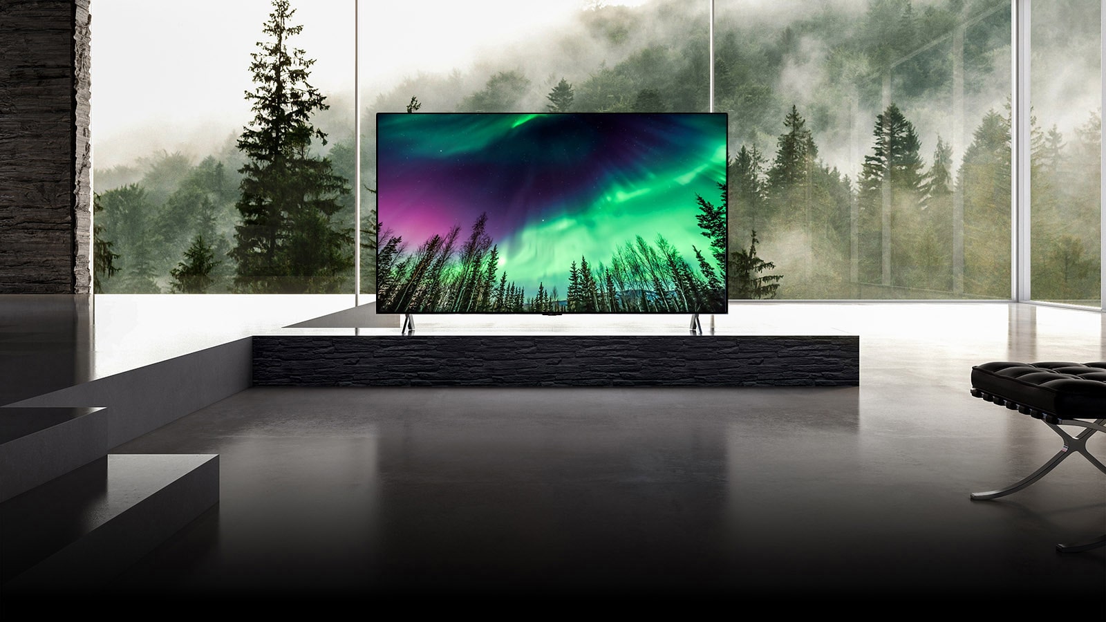 Камерата се движи от близък план от горната част на телевизора надолу към близък план на предната част на телевизора. Телевизионният екран показва зелено сияние. Камерата се отдалечава, за да покаже много обширна всекидневна. Всекидневната е цялата сива и през прозореца отвън се вижда гора.