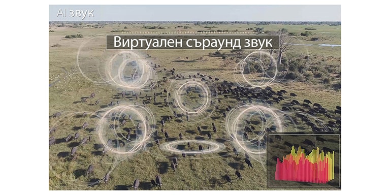 Качеството на звука е преоткрито4