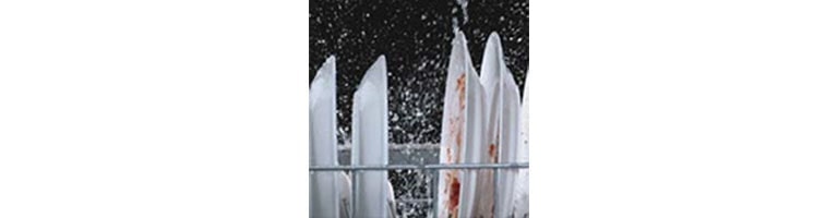 Четири миещи рамена