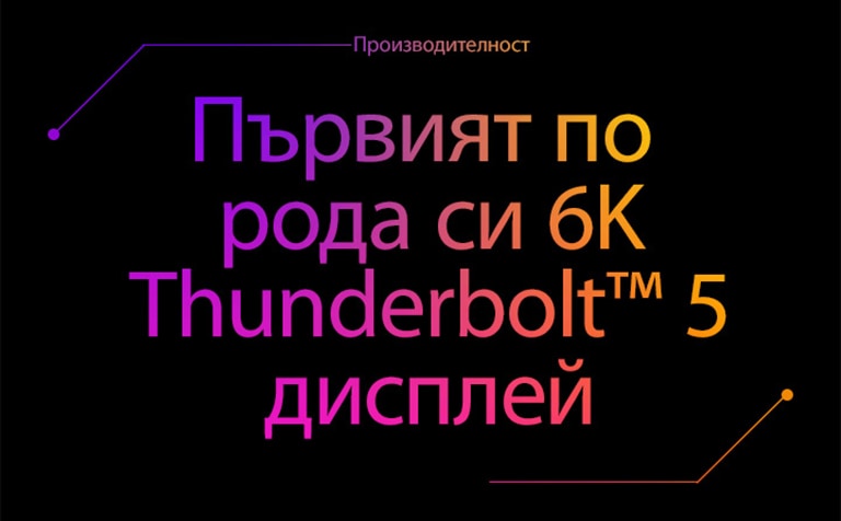 Няма включени изображения