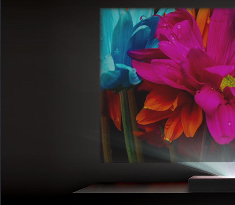 изображение със стандартен LCD проектор