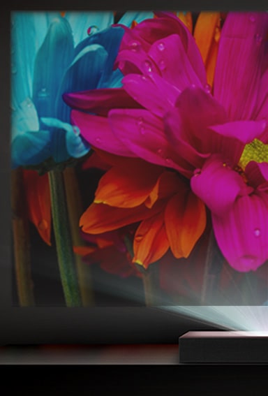 изображение със стандартен LCD проектор