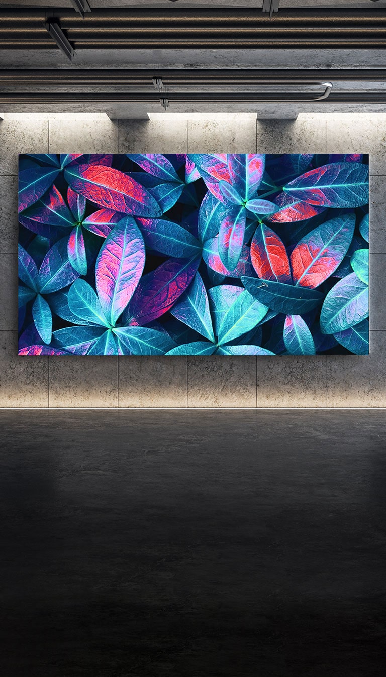 Телевизор LG QNED MiniLED, монтиран на сива стена. Екранът показва близък план на растения с големи листа в различни нюанси на зелено, синьо и червено.