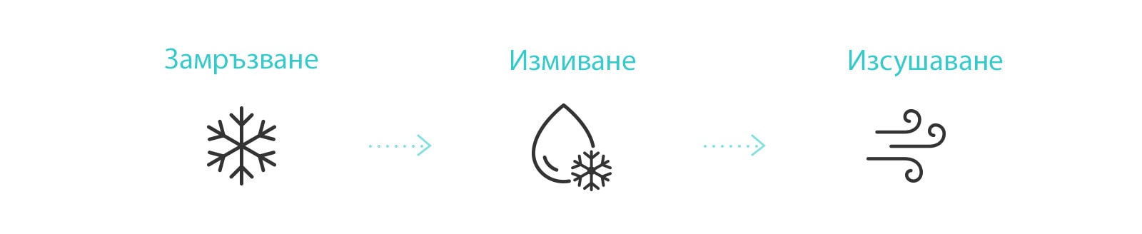 Иконата показва процеса на почистване на вътрешността на климатика с функцията Freeze Cleaning. (замразяване, измиване и изсушаване)
