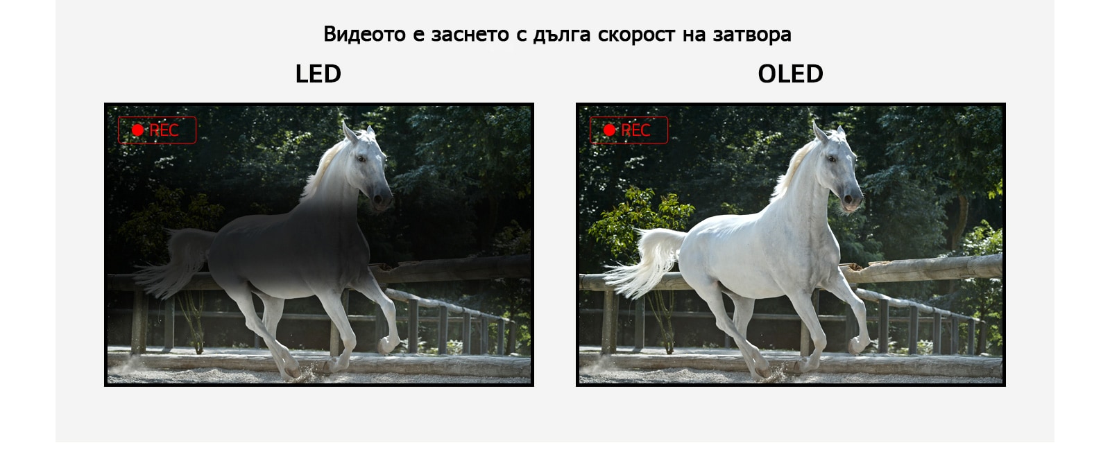 Сравнение на трептенето при LED дисплей, при който се показва трептене, и OLED дисплей, който е без трептене, докато показва видеоклип с препускащ бял кон. (възпроизвеждане на видеоклипа)