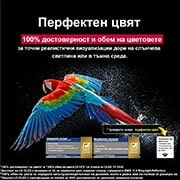 LG 83 инча LG OLED evo AI G5 4K Smart TV 2025, Zadivljujući i živopisni vatromet je na ekranu televizora. Prikazuje 100% vernost boja koja pokazuje tačne boje čak i na sunčevoj svetlosti.  Vidi se sertifikat logotipa, a Perfect Color Technology pr, OLED83G51LW, thumbnail 8