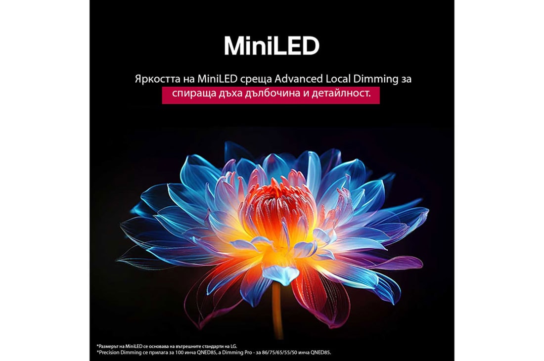 LG 86 инчов LG QNED evo AI QNED85 4K Smart TV 2025, Папагал на клон на дърво в ярък цвят. В заглавието се разказва за това как LG Al Picture Pro е направила впечатляващи визуални подобрения на резолюцията, яркостта, дълбочината и яснотата на сцената., 86QNED85A3C, thumbnail 7