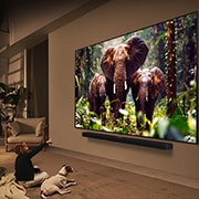 LG 75 инчов LG QNED evo AI QNED85 4K Smart TV 2025, ULTRA BIG , 75QNED85A3C, thumbnail 11