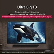 LG 55 инчов LG NanoCell AI NANO81 4K Smart TV 2025, LG телевизор с впечатляващо голям екран, монтиран на стената над LG Soundbar в съвременна всекидневна., 55NANO81A3A, thumbnail 7