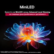 LG 86 инчов LG QNED evo AI QNED86 4K Smart TV 2025, Папагал на клон на дърво в ярък цвят. В заглавието се разказва за това как LG Al Picture Pro е направила впечатляващи визуални подобрения на резолюцията, яркостта, дълбочината и яснотата на сцената., 86QNED86A3A, thumbnail 7