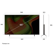 LG 65 инча LG OLED AI B5 4K Smart TV 2025, Изглед отпред с размери на OLED65B53LA LG OLED телевизор, OLED65B53LA, thumbnail 3