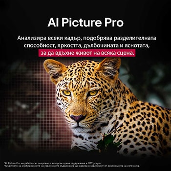 LG 83-инча LG OLED AI B5 4K Smart TV 2025, На телевизионния екран се виждат ослепителни и ярко оцветени фойерверки. Това демонстрира 100% вярност на цветовете, което показва точни цветове дори на слънчева светлина.  Сертифицирането на логото е, OLED83B53LA, thumbnail 8