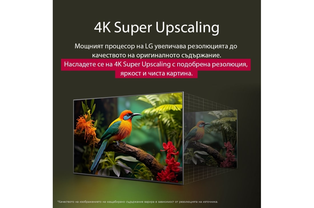 LG 65 инчов LG UHD AI UA74 4K Smart TV 2025, Сравняване преди и след това на това как LG 4K Super Upscaling подобрява качеството на изображението. Два панела, показващи едно и също изображение на цветна птица, седнала на клон в гора, панелът вдя, 65UA74003LB, thumbnail 6