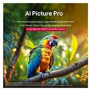 LG 85-инчов LG QNED evo AI QNED92 4K Smart TV 2025, AI Picture Pro, 85QNED92A6A, thumbnail 8