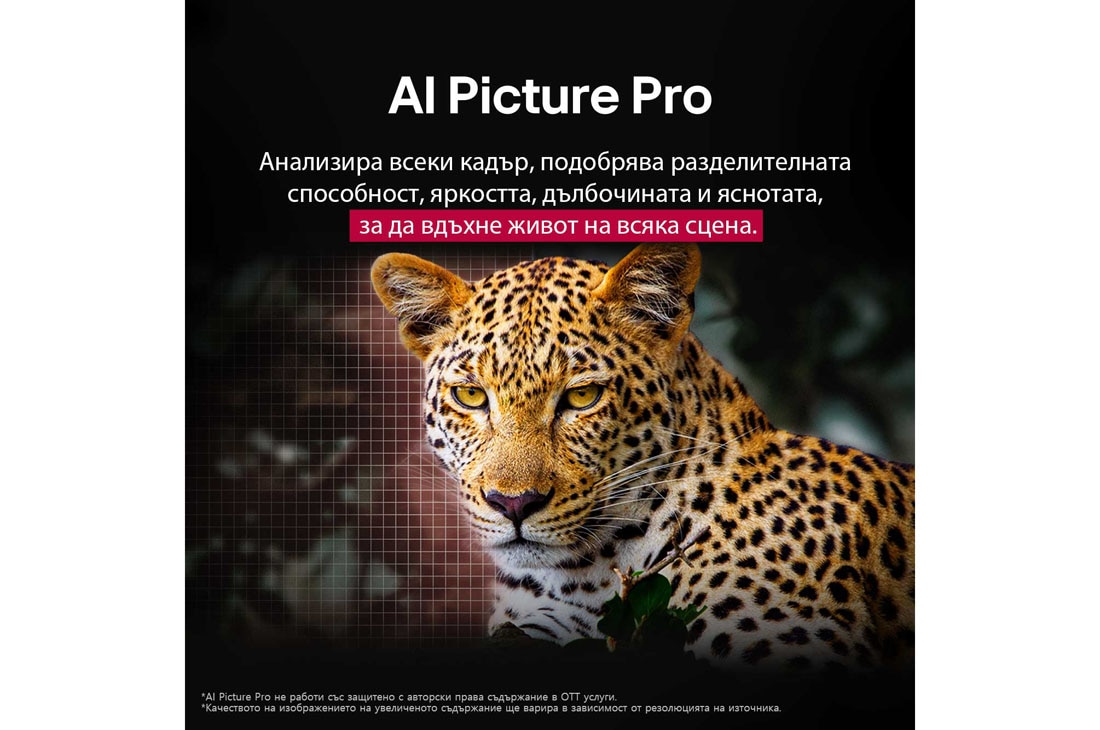LG  83 инча LG OLED evo AI C5 4K Smart TV 2025, Леопард в гората с ярки цветове и детайли. Зад леопарда има решетка и светеща светлина, което показва как LG AI Picture Pro е направила впечатляващи визуални подобрения на резолюцията, яркостта, дълбо, OLED83C51LA, thumbnail 9
