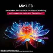 LG 43 инчов LG QNED evo AI QNED86 4K Smart TV 2025, Папагал на клон на дърво в ярък цвят. В заглавието се разказва за това как LG Al Picture Pro е направила впечатляващи визуални подобрения на резолюцията, яркостта, дълбочината и яснотата на сцената., 43QNED86A3C, thumbnail 6