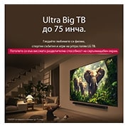 LG 43 инчов LG QNED evo AI QNED87 4K Smart TV 2025, Ultra Big TV up to 100 inches, 43QNED87A3D, thumbnail 8