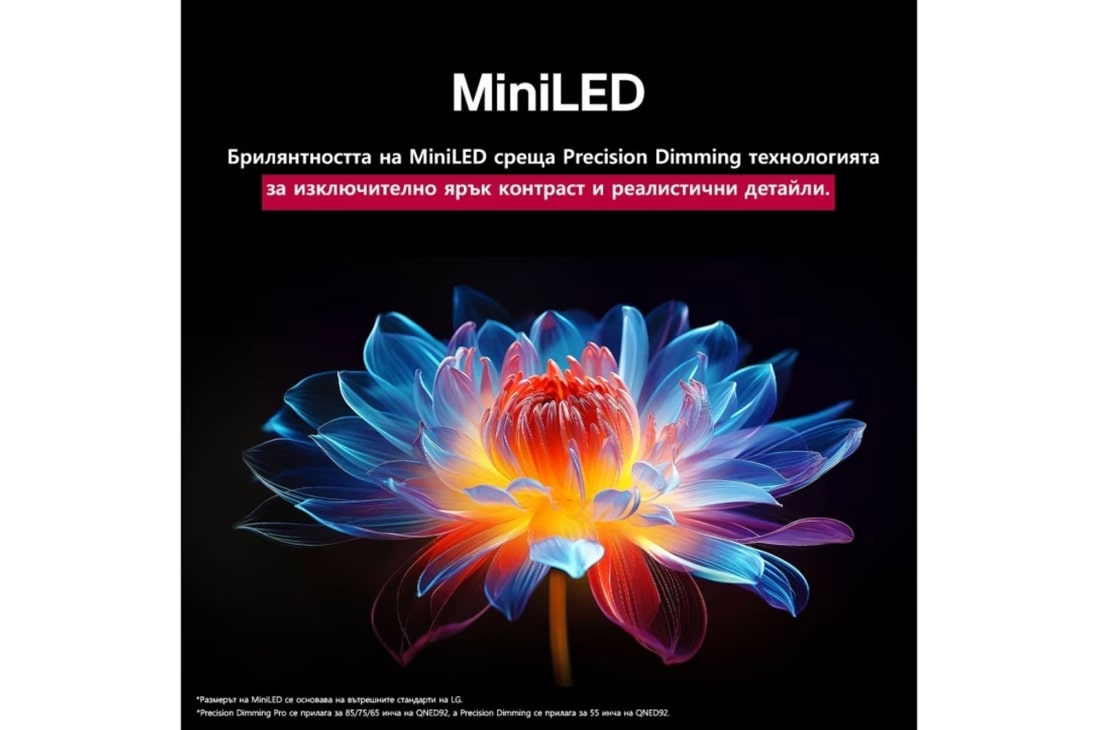 LG 65 инчов LG QNED evo AI QNED93 4K Smart TV 2025, На снимката е изобразено цвете в пълния си блясък. Екранът се разделя наполовина, за да се покаже решетка над лявата страна на цветето, а дясната страна на цветето е в ярко червено, жълто, синьо и лил, 65QNED93A6A, thumbnail 6